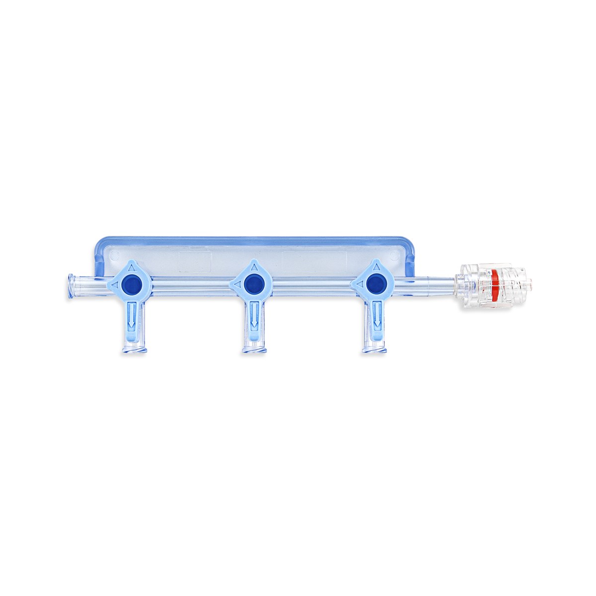 Manifold